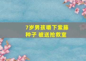 7岁男孩嚼下紫藤种子 被送抢救室